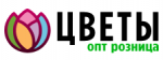 Цветы Опт Розница